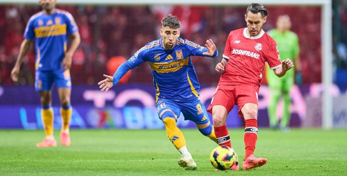 tigkres-toloyka-150525