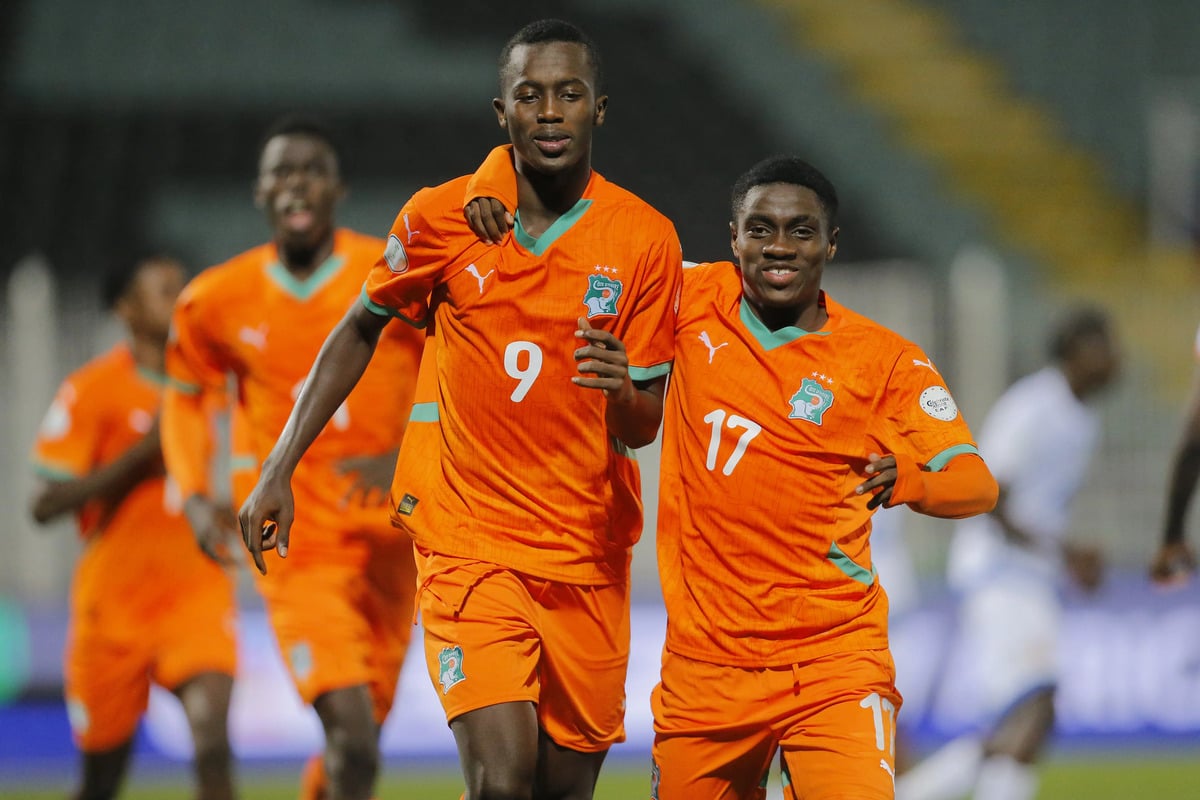 nea-zilandia-akti-elefantostoy-080625