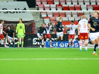 Βίκινγκ - Φρέντρικσταντ