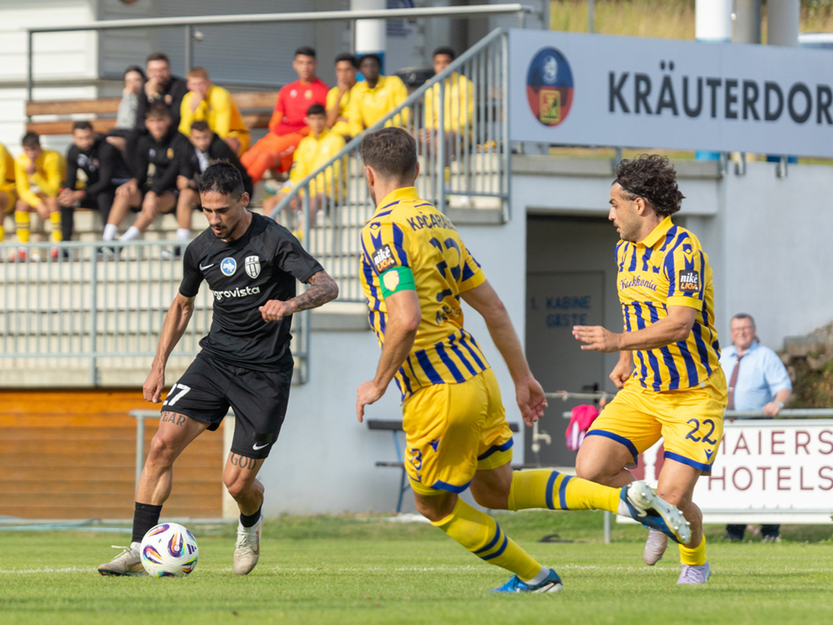 oleksantria-partizan-240725