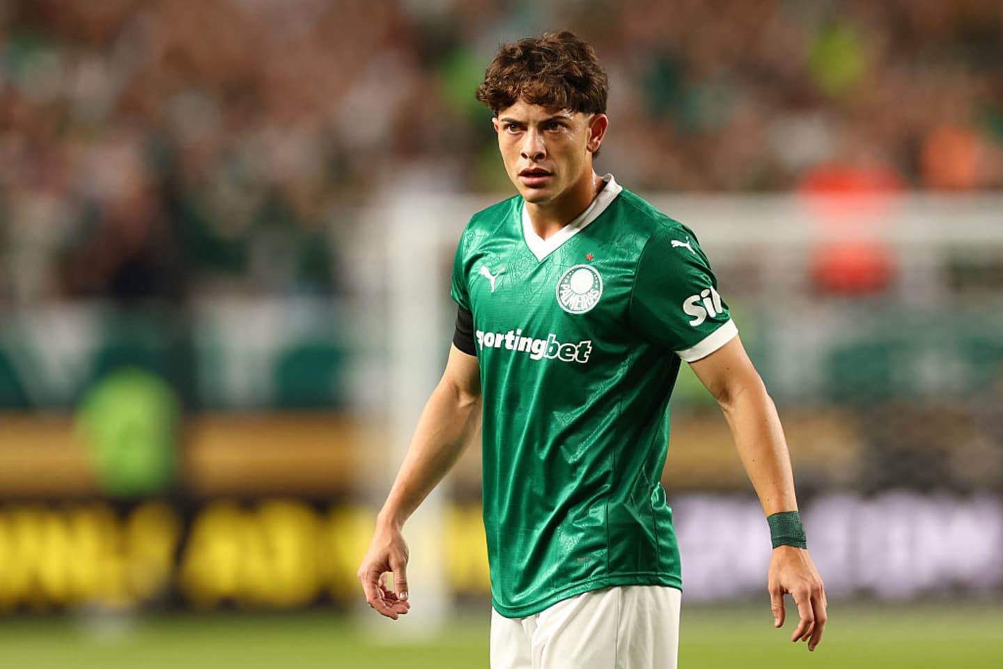 palmeiras-mirasol-170725