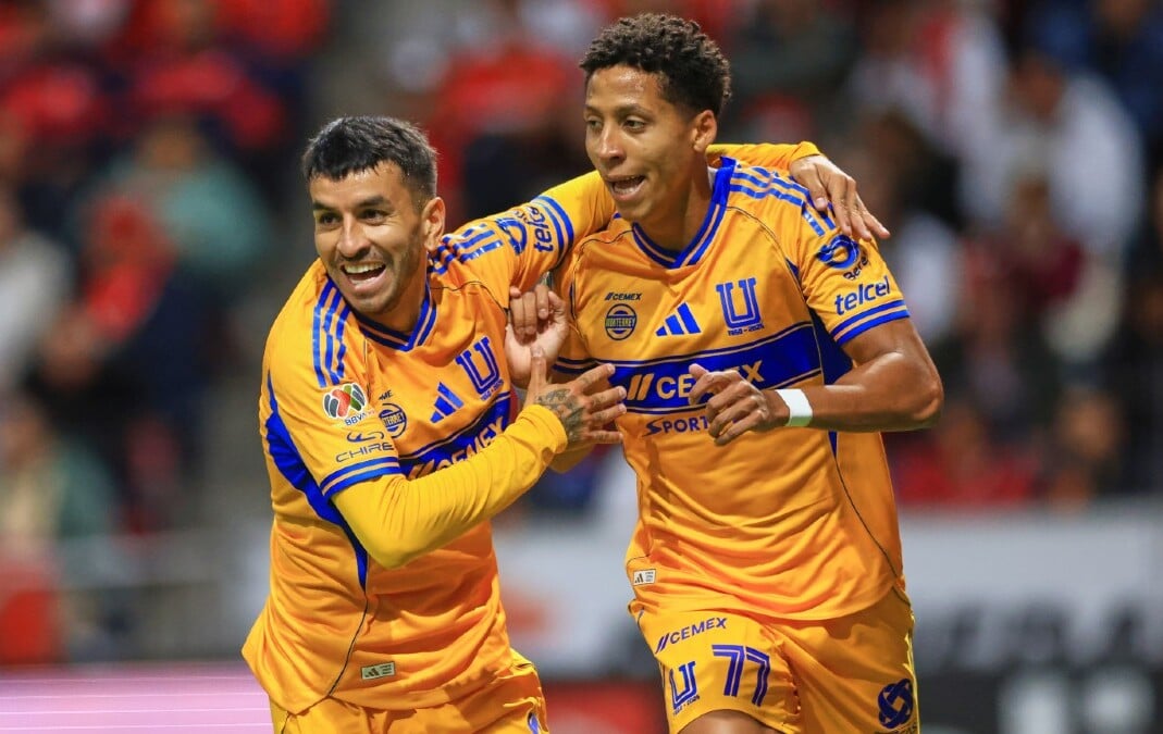 tigkres-toloyka-121225