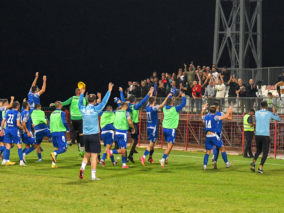 ntetsits-toyzi-sileks-kratovo-100725