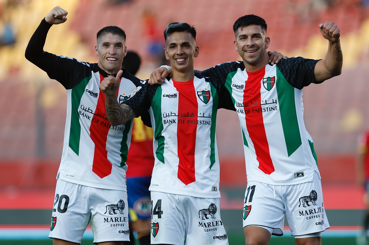 palestino-mpolivar-240725
