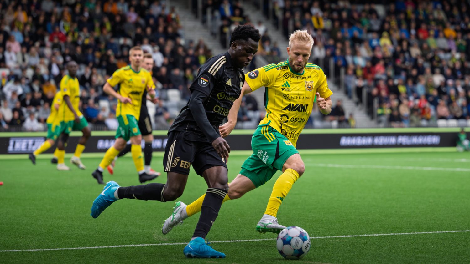 seinagioen-ilves-050725