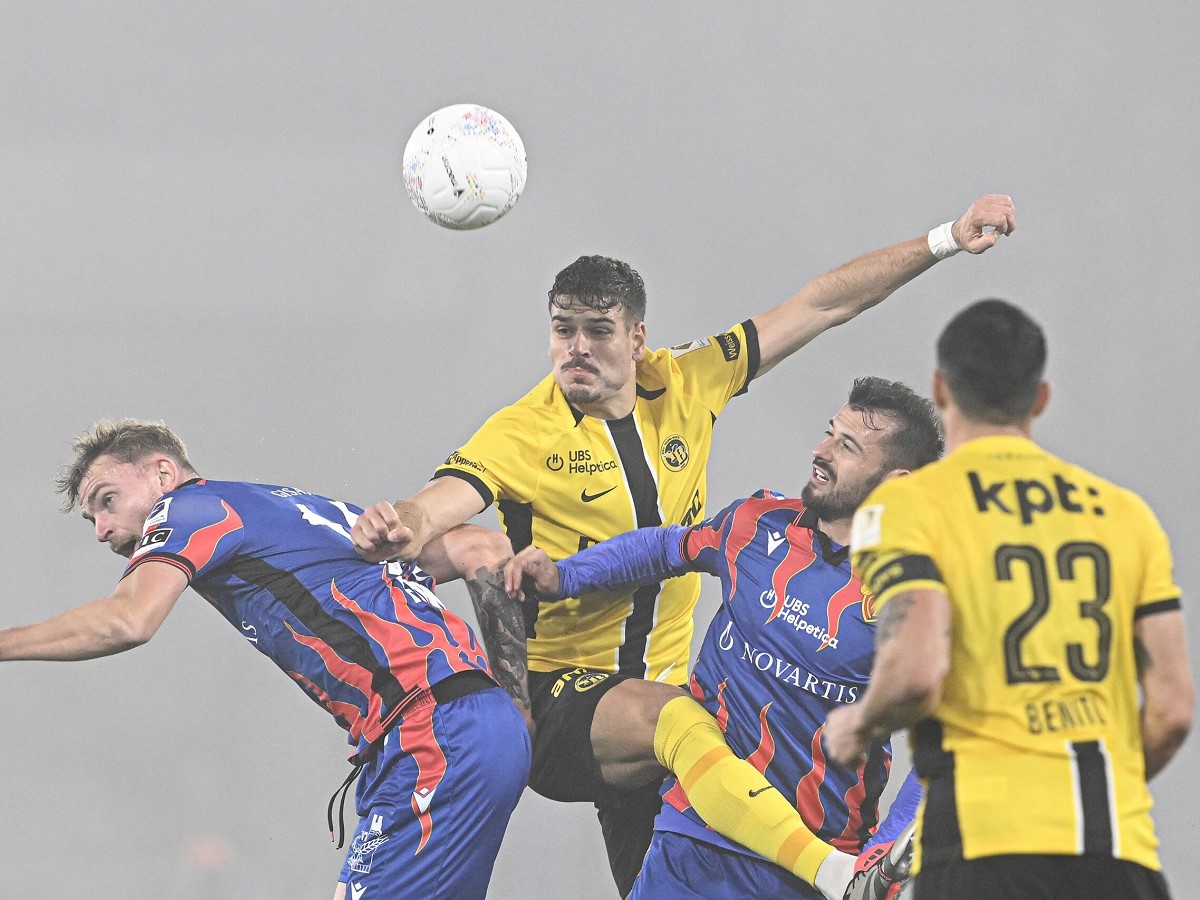 vasileia-gioyngk-mpois-060825