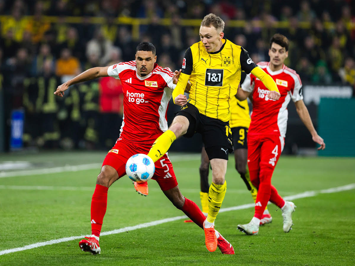 ntortmoynt-oynion-verolinoy-310825