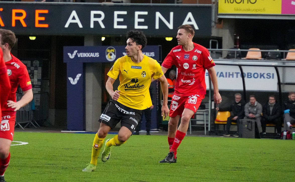 giaro-koyopio-240825