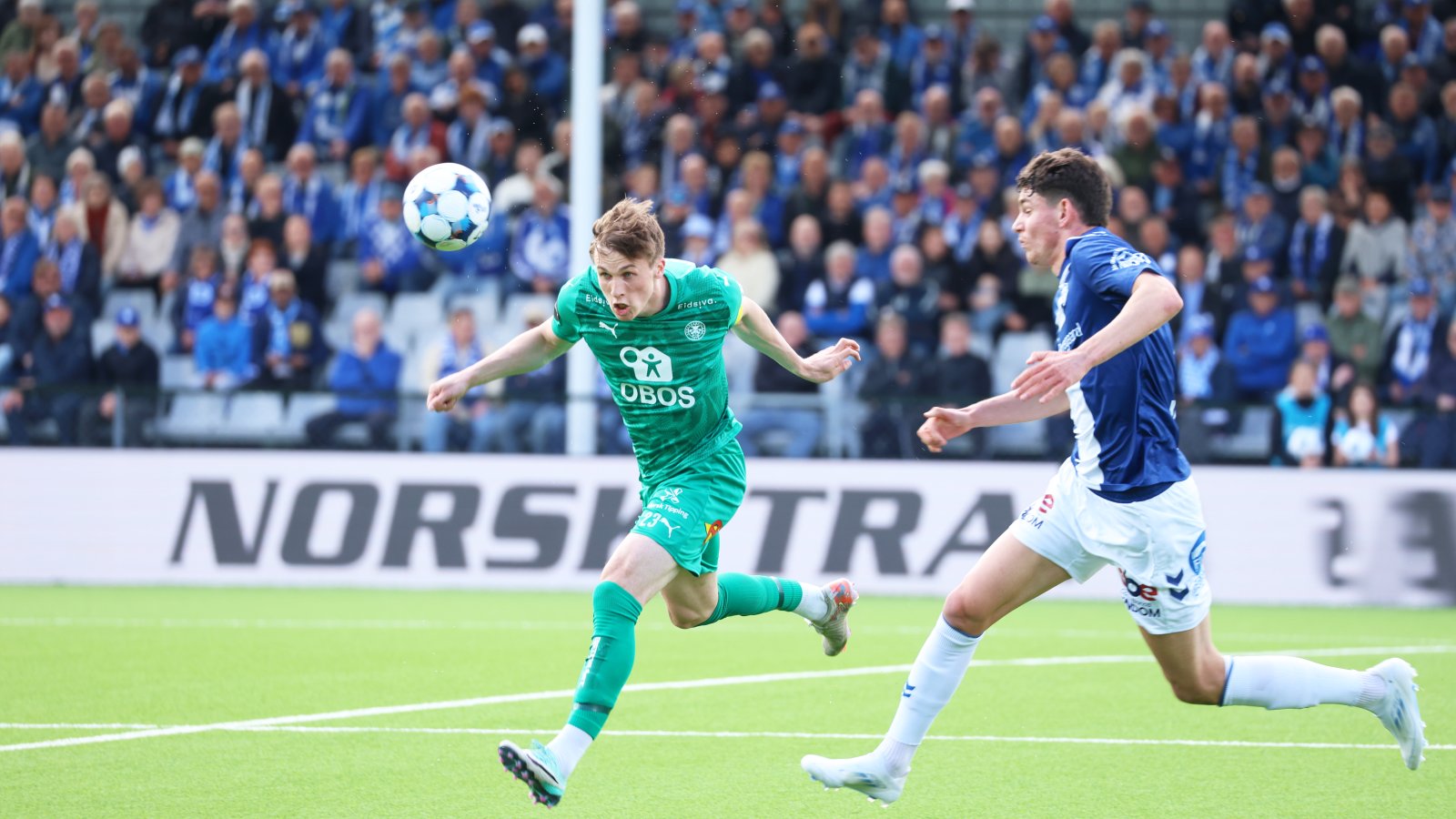 xam-kam-sarpsmporgk-08-310825