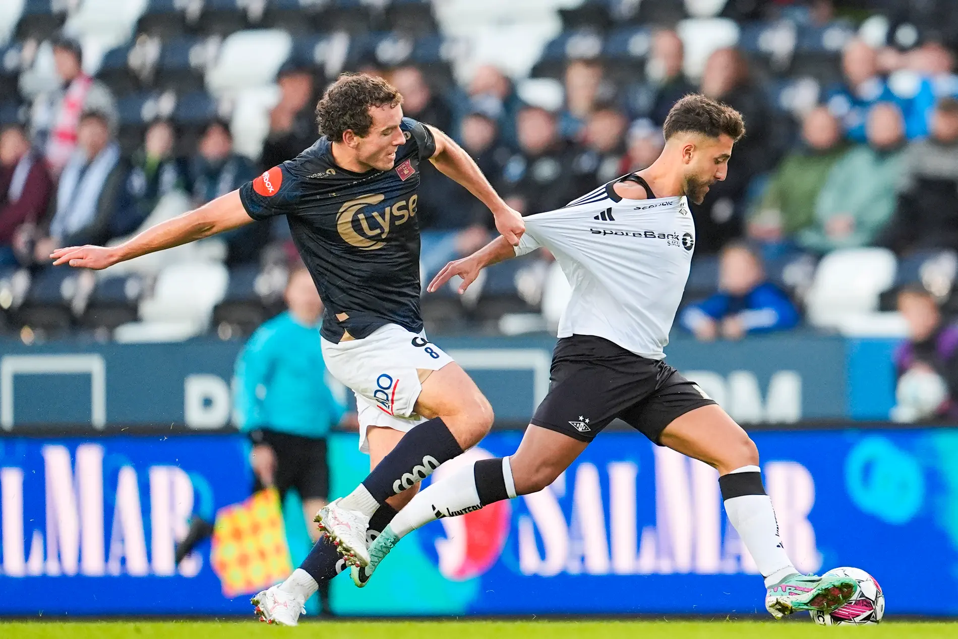 vikingk-rozenmporgk-310825