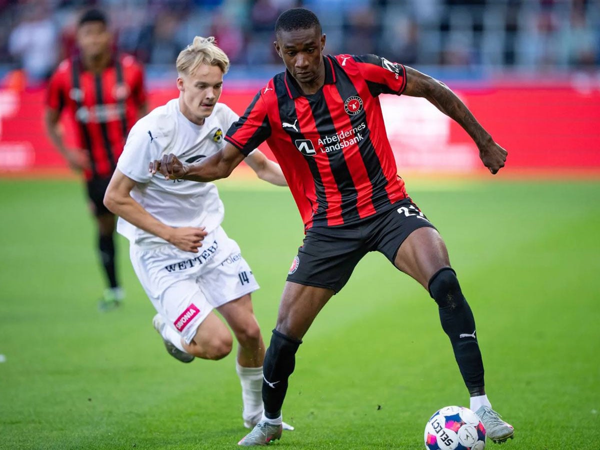 koyopio-mintilant-280825