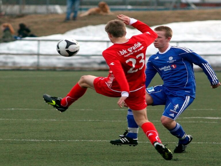 ντόρτι-και-βλέπουμε-397859