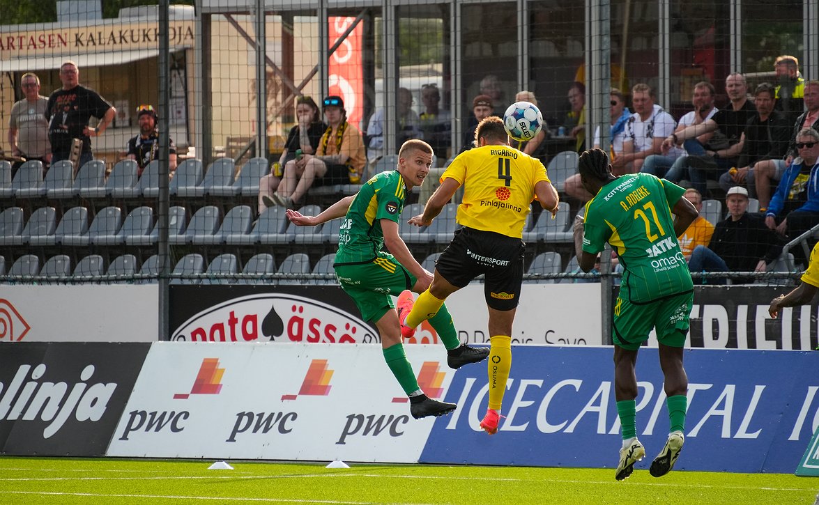 koyopio-ilves-140925