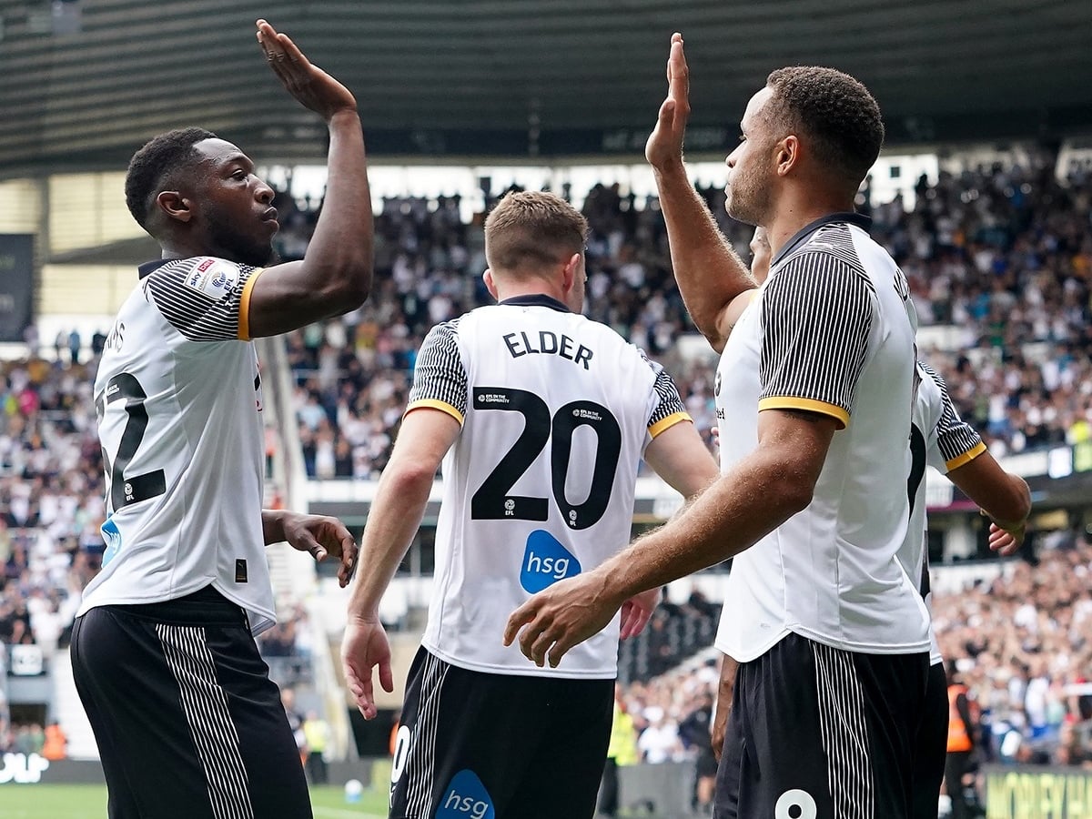 sefilnt-goyensntei-ntermpi-151225