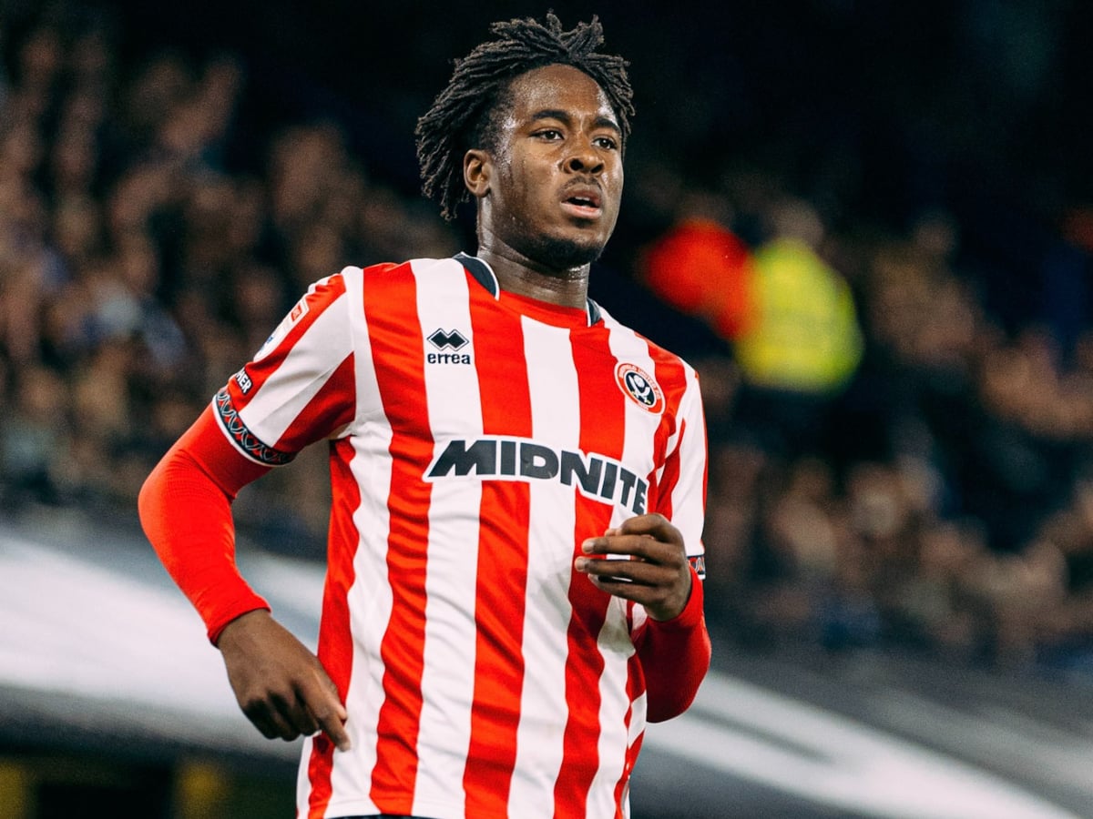 sefilnt-gioynaitent-stooyk-061225