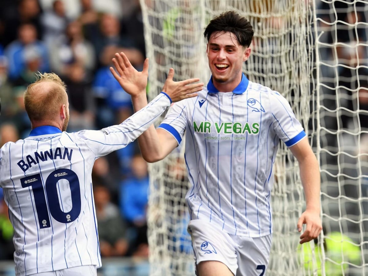 sefilnt-goyensntei-oksfornt-251025