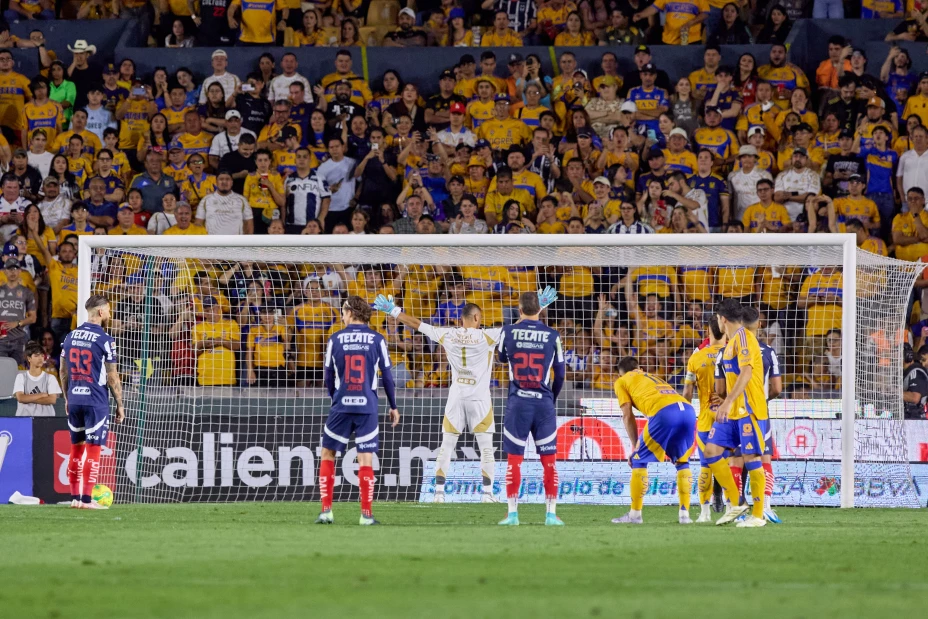 Μοντερέι - Τίγκρες