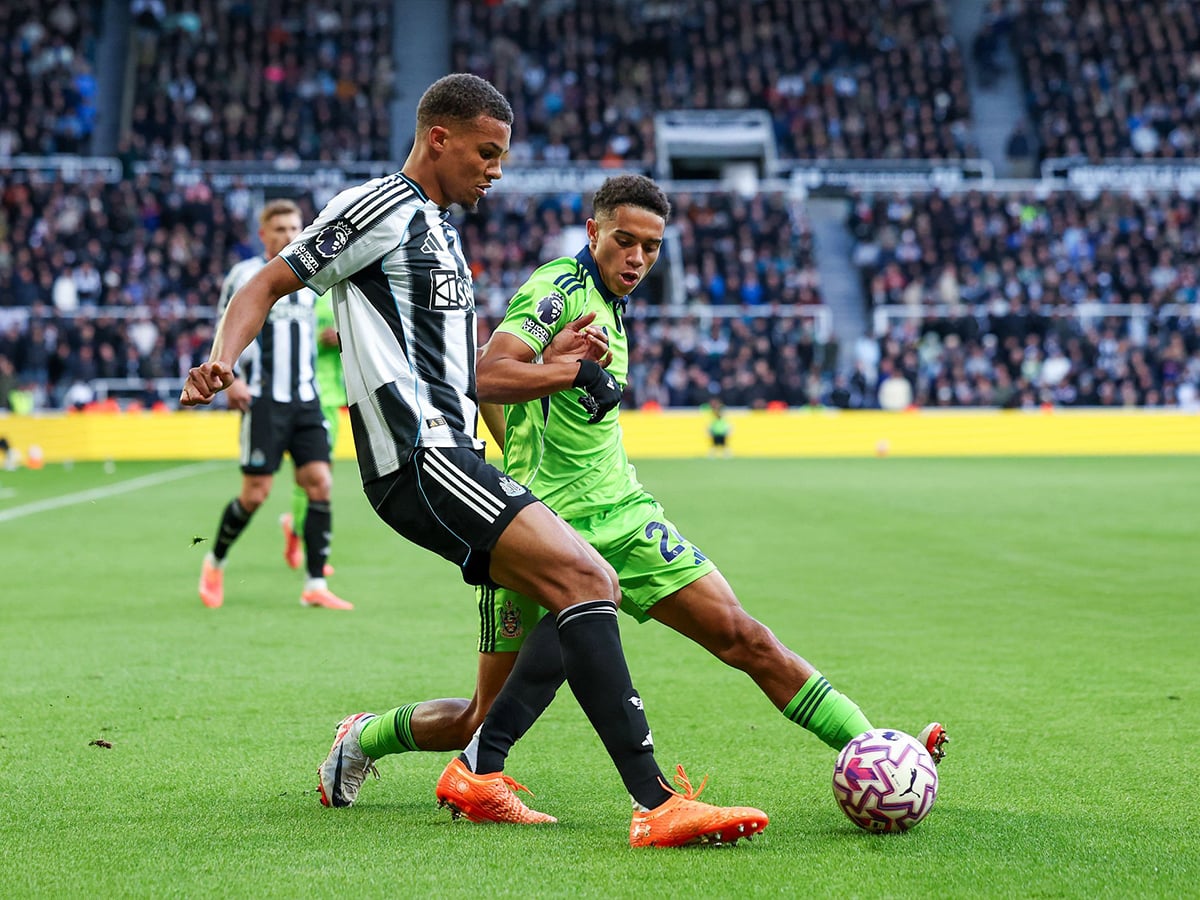 nioykastl-foylam-171225