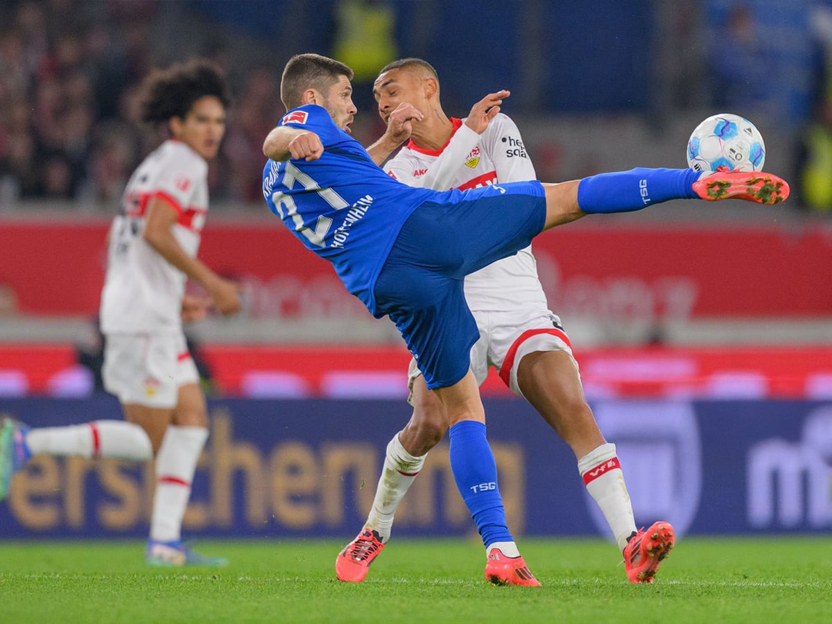 Στουτγάρδη - Χόφενχαϊμ