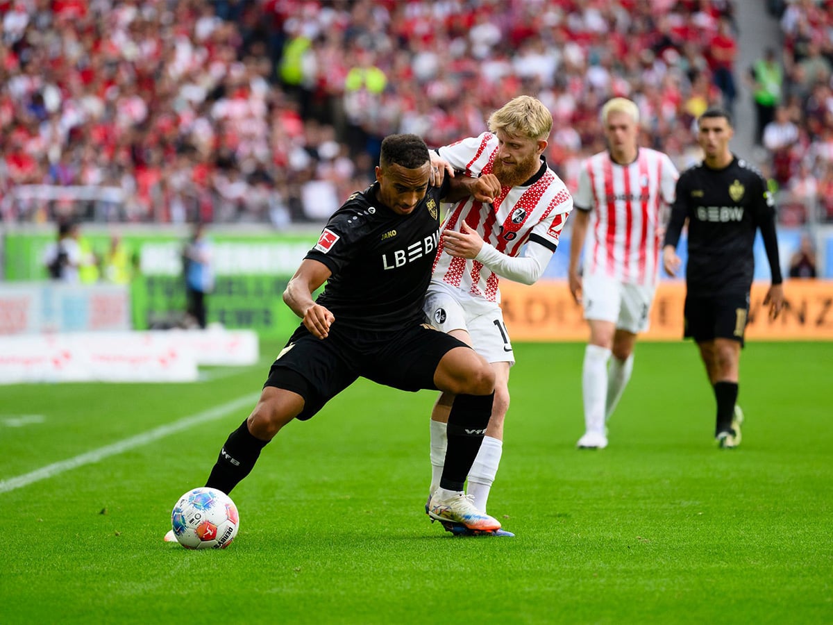 stoytgardi-fraimpoyrgk-010226