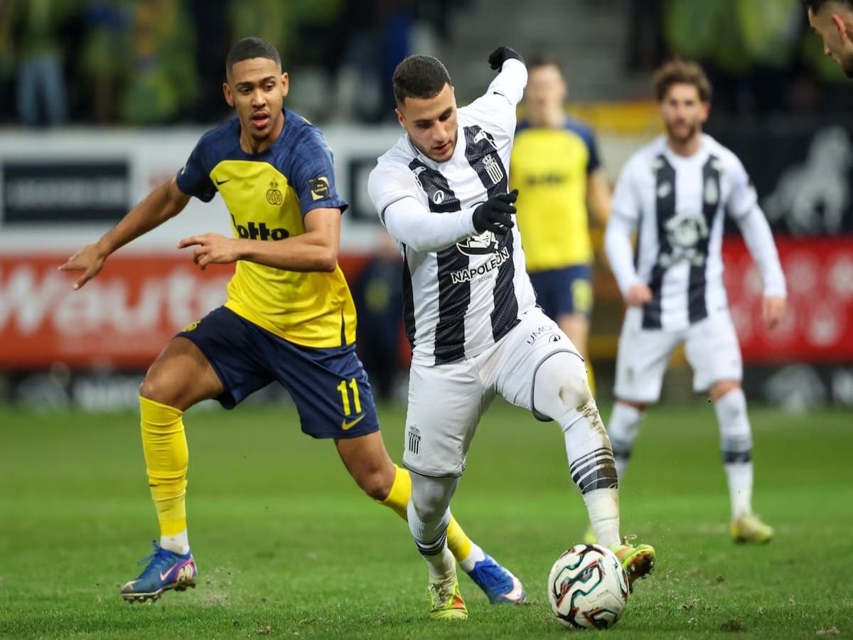 oynion-sen-ziloyaz-sarleroya-110226