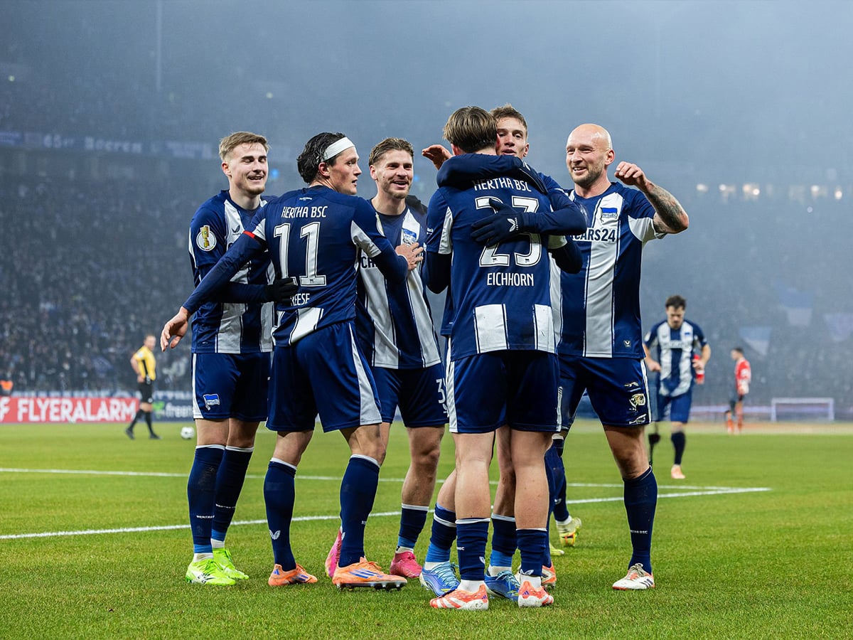 xerta-verolinoy-fraimpoyrgk-100226