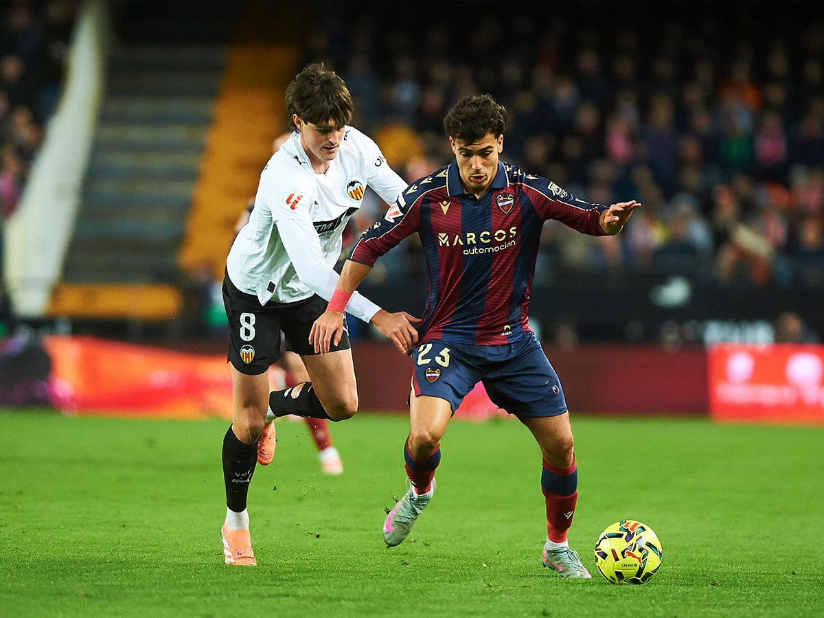 Λεβάντε - Βαλένθια