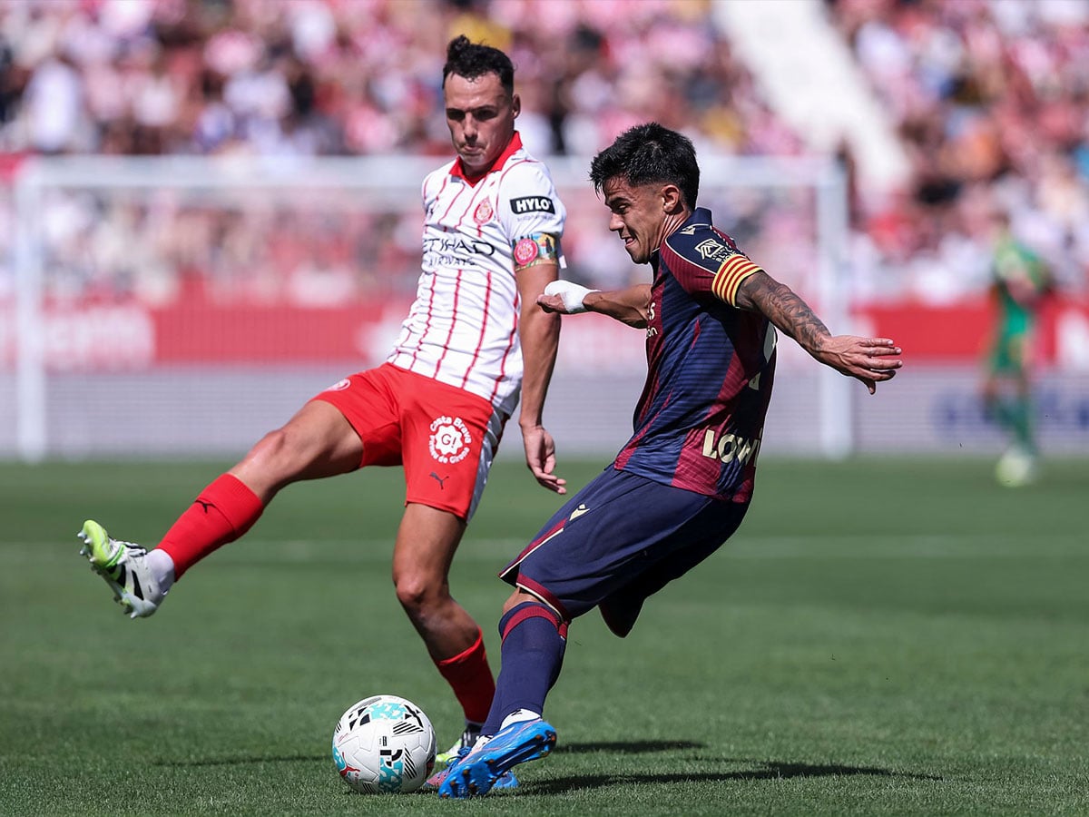 Λεβάντε - Χιρόνα