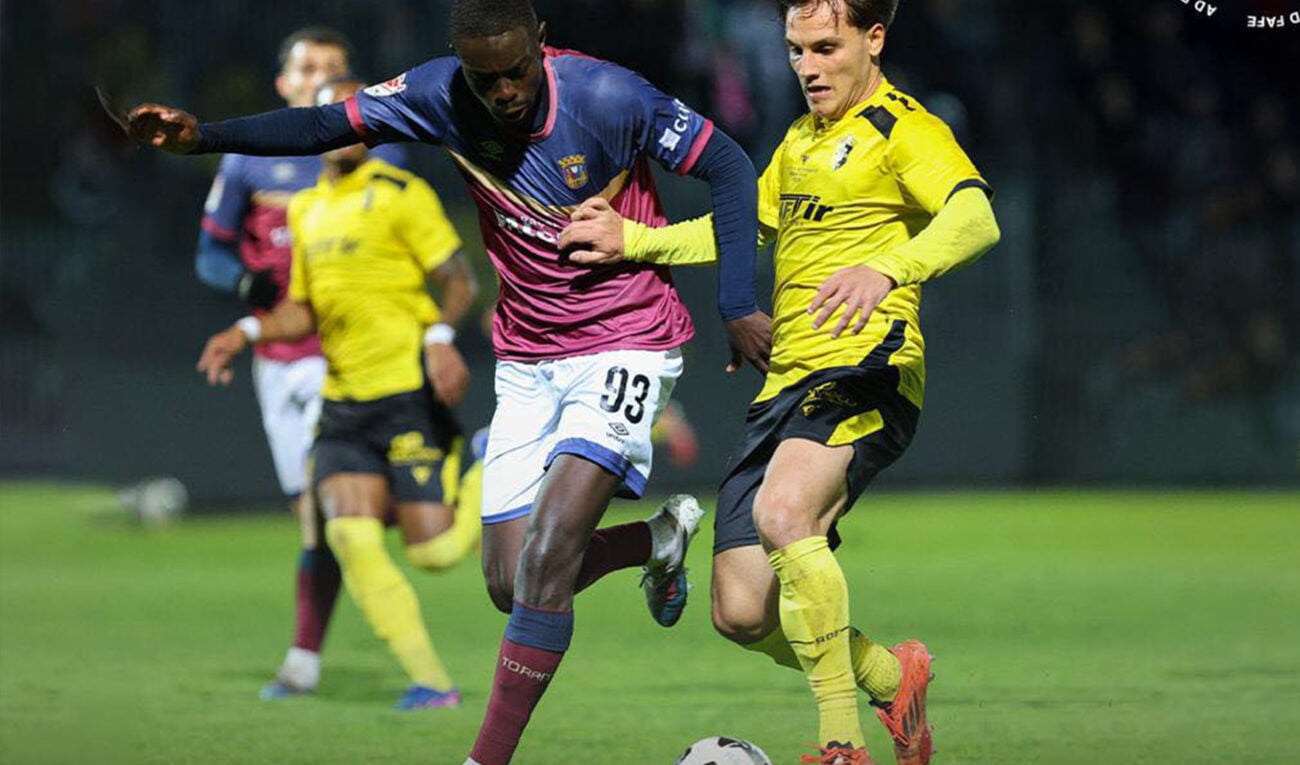 toreense-fafe-230426