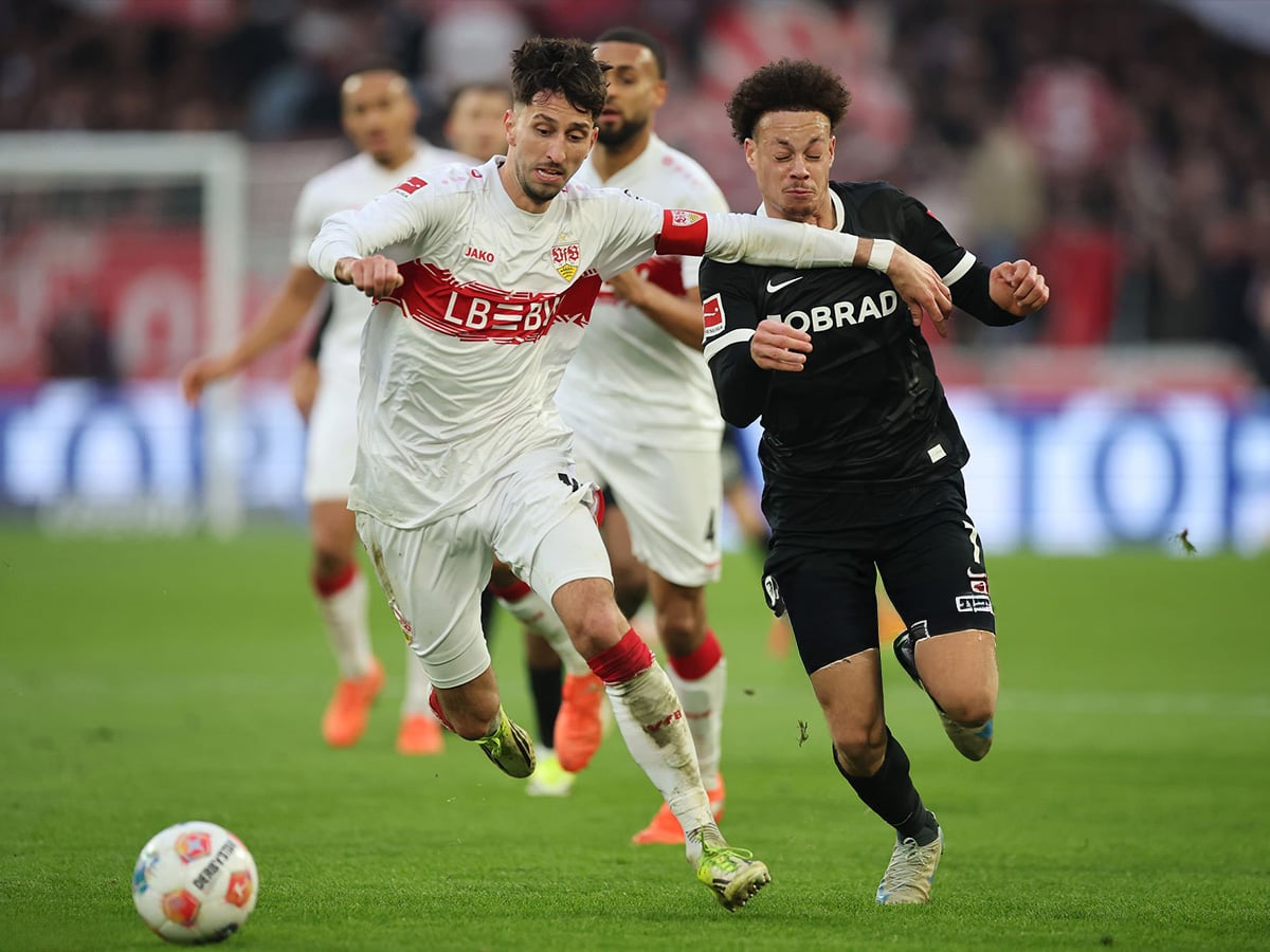 stoytgardi-fraimpoyrgk-230426